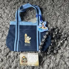 AULANI Disney resortバック (レイ、非売品ピン付)