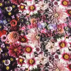 ♡デジタルフワワー　ピンクグラデ♡　～RJR～