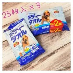 Item thumbnail for item 4520f05a-9d8b-46d0-a6a1-09e049d8cd7c