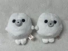 まんぼう屋 ミニビーンズ あざらし ぬいぐるみ