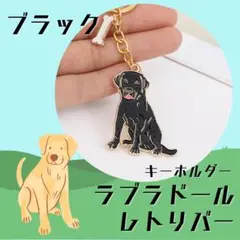 Item thumbnail for item 09cad348-0f25-41cc-bd49-3387f0d8e266