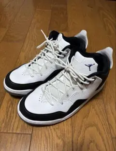 【超美品】★NIKE JORDAN COURTSIDR 23 ★希少カラー
