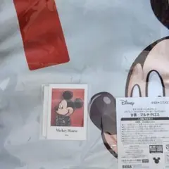 セガラッキーくじ B賞＆F賞 ミッキーマウス