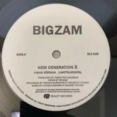 BIGZAM–New Generation X /Solo Flight 12”