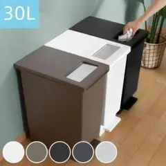 30L ブラウン フタ付きペダル式ごみ箱
