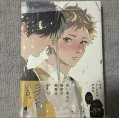 BLコミック　キューピッドに落雷　新装版　鈴丸みんた　BL本　BL漫画　まとめ売