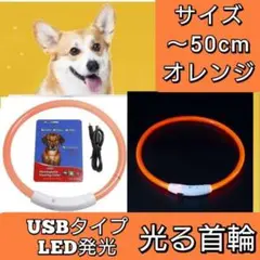 光る首輪 散歩 LEDライト USB充電 オレンジ М 50㎝ 点滅 犬 ペット