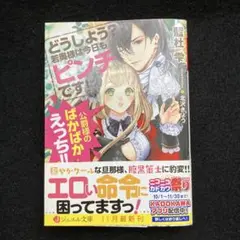どうしよう? 若奥様は今日もピンチです! 公爵様のばかばかえっち!!
