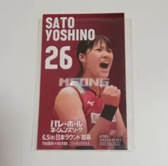 バレーボール女子日本代表 佐藤淑乃 応援カフェ