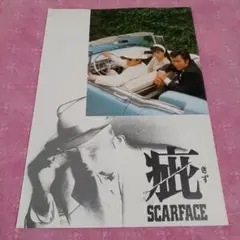 疵パンフレット