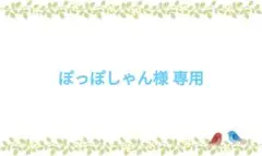 ★ぽっぽしゃん様 専用★