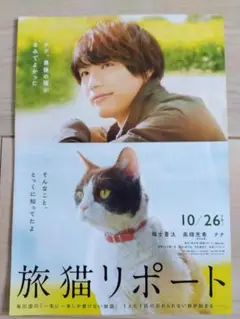 旅猫リポート　フライヤー