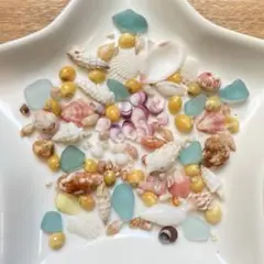 貝殻　貝　シェル　極小貝　パーツ　シーグラス