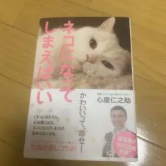ネコになってしまえばいい