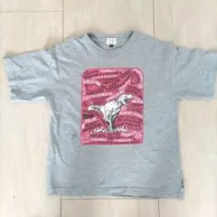 Dinosaur Discovery Tシャツ 130サイズ