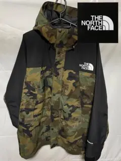 即完売モデル】ノースフェイス US規格 刺繍 ゴアテックス マウンテン