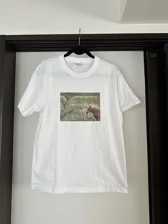 サニークラウディーレイニー　アイスランドTシャツ