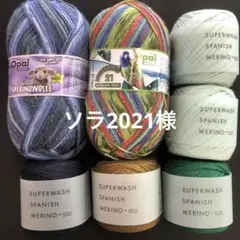 ソラ2021様ページ