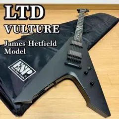 美品 定価¥42,300 EMG JH ＋純正セレクタ B289 EMG ( イーエムジー ) JH James Hetfield Set Brushed Gold