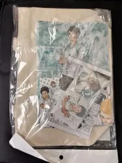 ハイキュー！！ 及川徹＆岩泉ーハイキューコンビセット