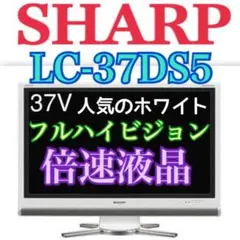 Item thumbnail for item c946bb3d-964e-4edf-9669-1130582af08b