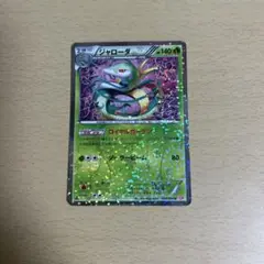 ポケモンカード ジャローダ HP140 ホロカード