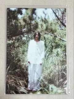 mélange 写真展 ZINE 豊田裕大 ポストカード3枚セット 豊田裕大 写真展 mélange ZINE ポストカード付き