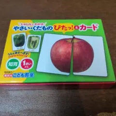 やさい・くだものぴたっ!とカード / 講談社こども教室