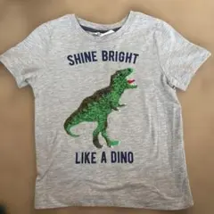 恐竜Tシャツ