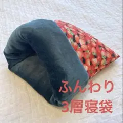 Item thumbnail for item 7bb7e1d5-4777-4e0c-90ed-5f4e927374dc