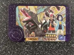 ポケモンフレンダ　スーパートレジャー　レックウザ　黒　六英雄