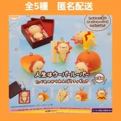 全5種 人生はウーパールーパー たべものかくれんぼ！ フィギュア ガチャ