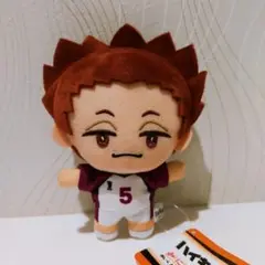 ハイキュー‼︎ みにコレ ぬいぐるみ マスコット3　 天童覚【新品、未使用】