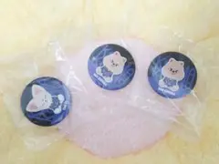 Straykids KARMA ソウルPOPUP 特典ミラー フォクシニー 2