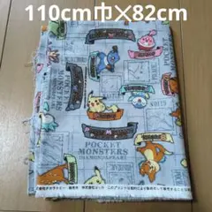 ポケットモンスター 綿生地 グレー 約82cm x 110cm巾
