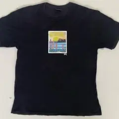 Stussy ブラック Tシャツ