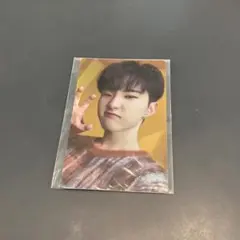 SEVENTEEN ホシ あいのちから 特典