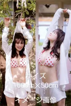 泉里香　抱き枕カバー大　DM-16