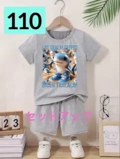 イタリアンブレインロット 　tシャツ　トゥントゥントゥンサフール　110
