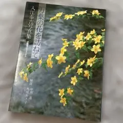 【写真集】万葉の花を訪ねて 入江泰吉　定価4800円　昭和58年発行