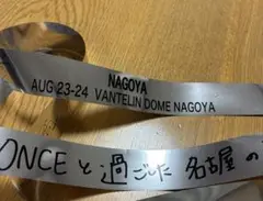 TWICE THIS IS FOR 愛知　バンテリンドーム名古屋　銀テ