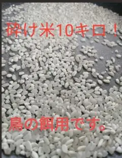 くず米 20kg ニワトリ.スズメ．野鳥等の餌『米びつの虫よけ』付き 着色米 飼料米 30kg 鳥の餌 エサ ペット くず米 肥料 雀 スズメ