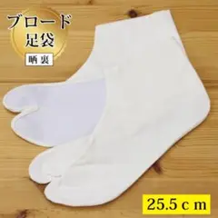 Item thumbnail for item 3b03ccd1-d1cb-4b29-9fd5-424b0d1c187f