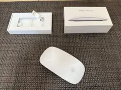 Apple Magic Mouse 2