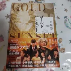 小説 ゴールドサンセット
