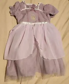 バースデイ　Birthday　ディズニー　ラプンツェル　コトリ　Cottoli