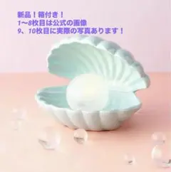 フランフラン Francfranc 貝殻ランプ　箱付き