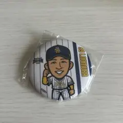 若鷹ガチャ 野村勇 缶バッジ