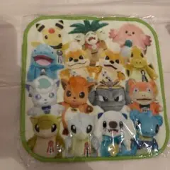 ポケモン　ローカルActs 物産展　ミニタオル
