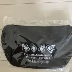 松田聖子45th Anniversary Concert Tour 2024